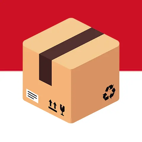 Send a Parcel to Indonesia: New Level of Convenience with BaggageVoyage